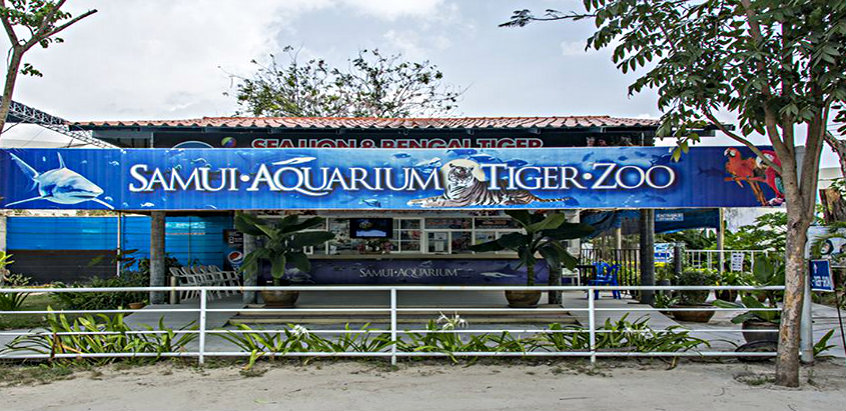 samui-aquarium-tiger-zoo